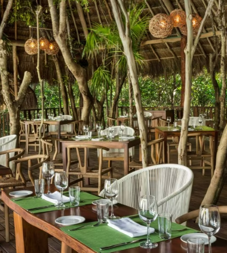 The Fives Beach Resort Playa Del Carmen / Book With My Membership / Save