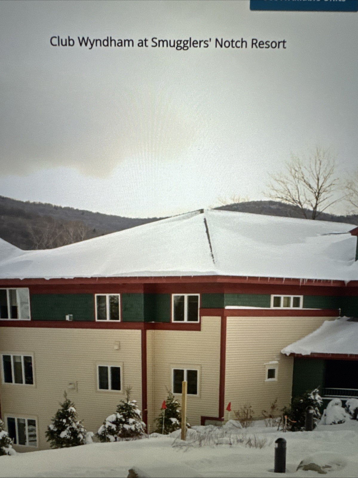 Timeshare Rental