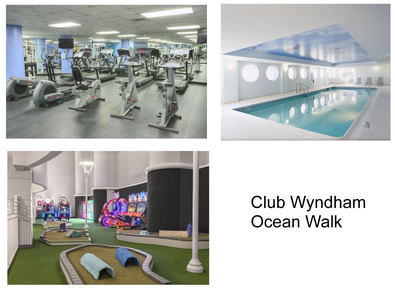 Daytona Beach Club Wyndham Ocean Walk, 8/21-8/24, 1 BR DLX for 4