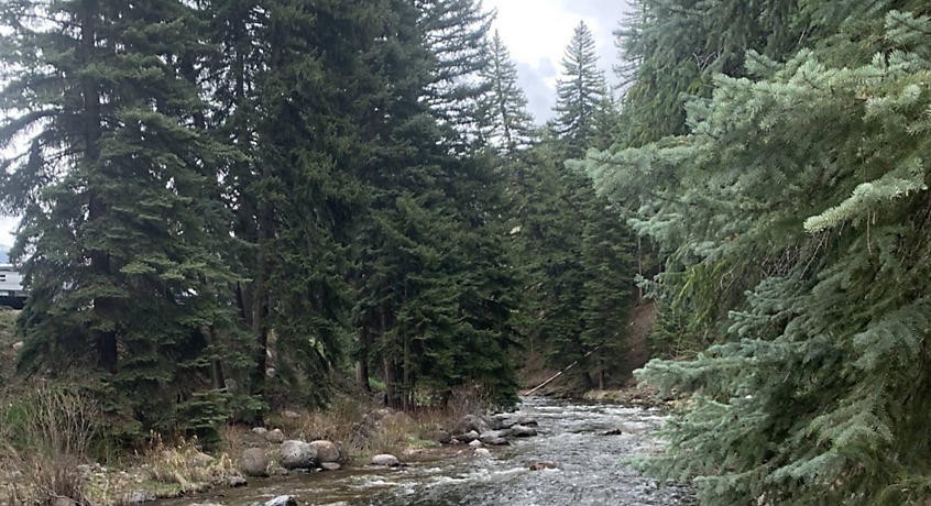 🏔️🍂 Vail Fall Colors Getaway! StreamSide Aspen 1BR Sleeps 4 Oct 19-22 2026