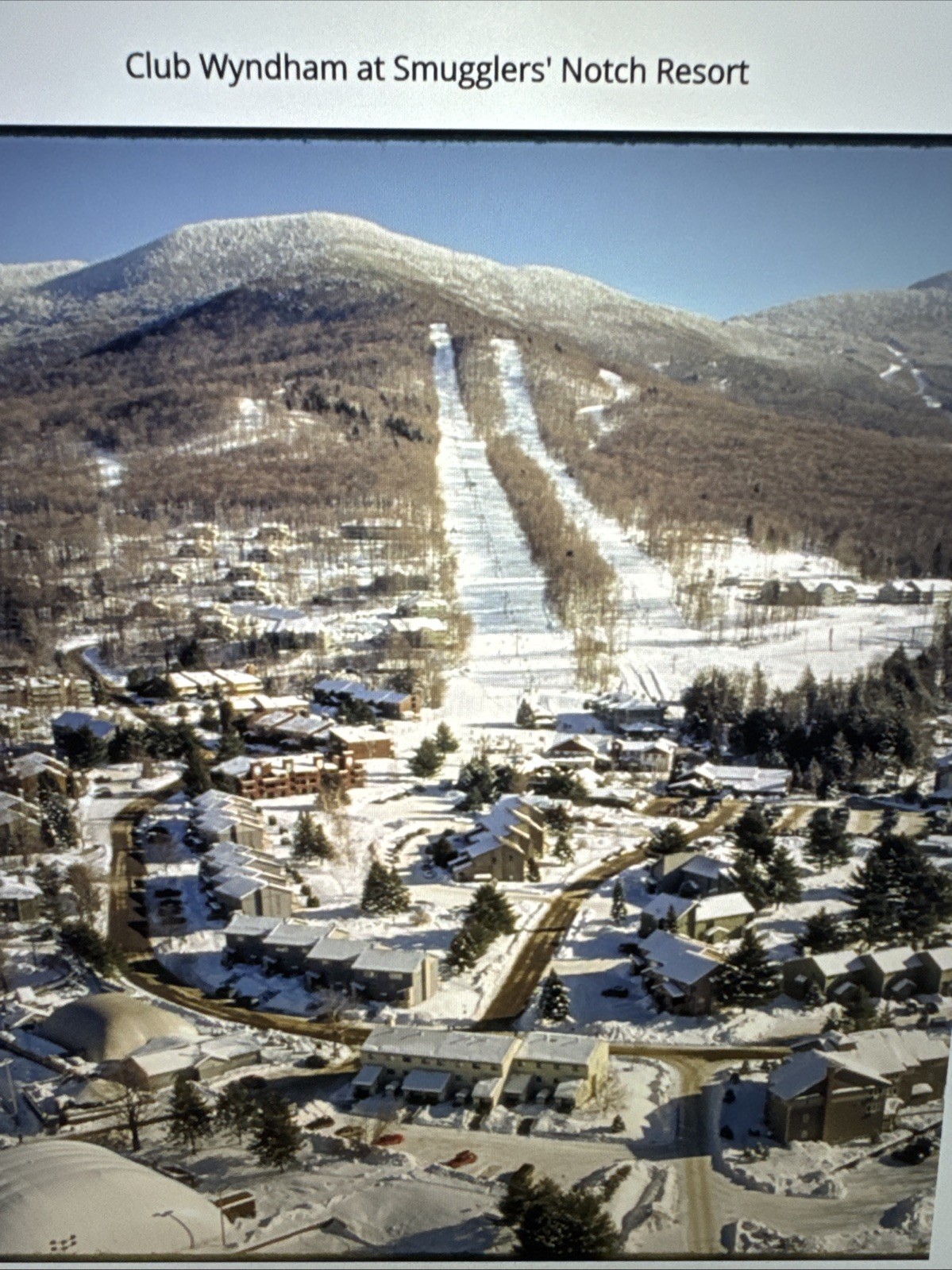 Timeshare Rental