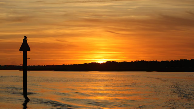 Disney Hilton Head Island Resort DVC Vacation Hotel ANY 2 Nights ANY YEAR 1 BR