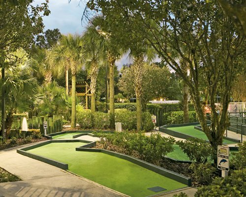 Sheraton Vistana Resort Disney World Universal Studio – 7 Nights