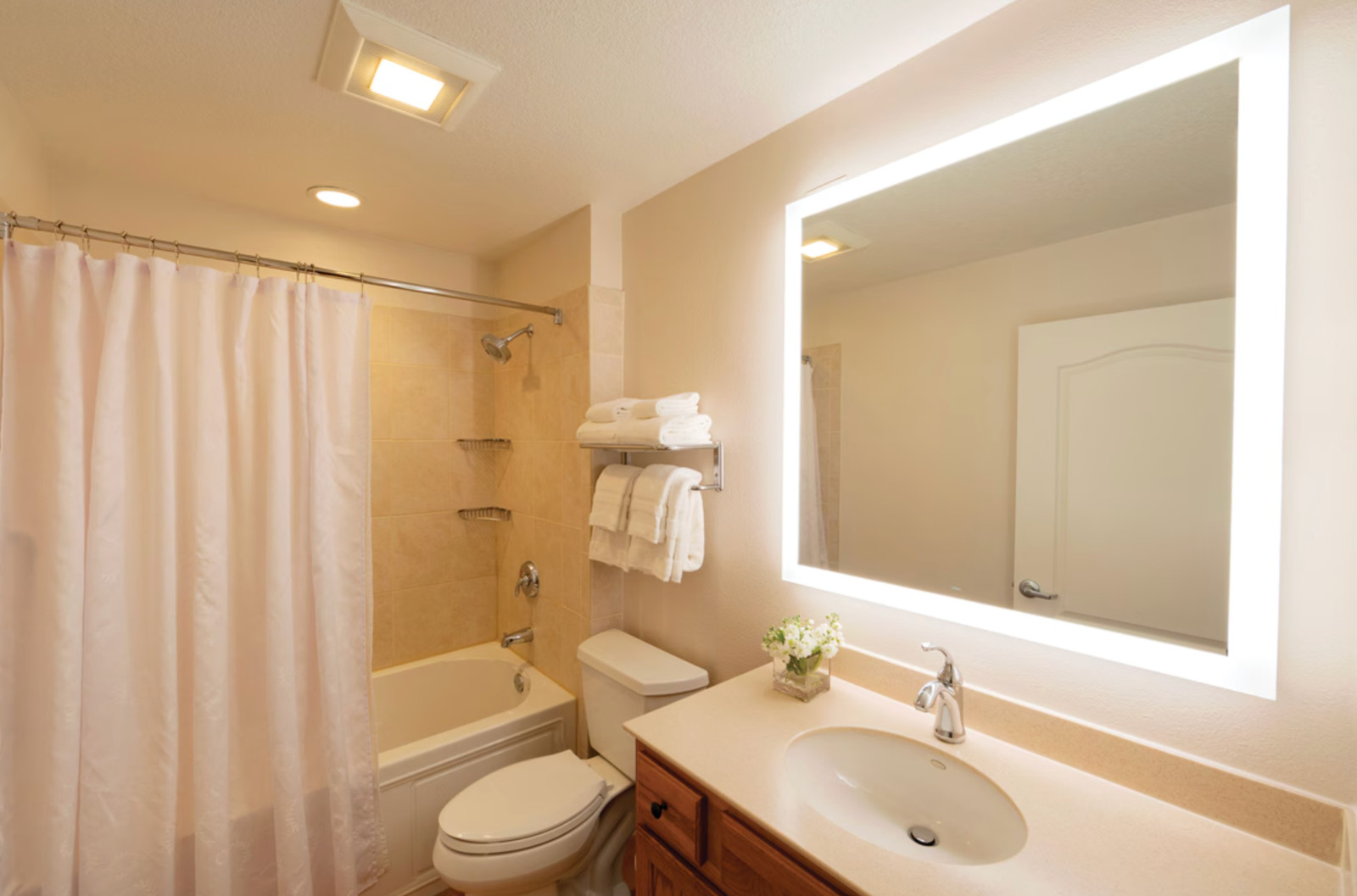 Sheraton Vistana Villages – Orlando, Florida ~ 1BR/Sleeps 4 ~ 7Nts JULY 2026