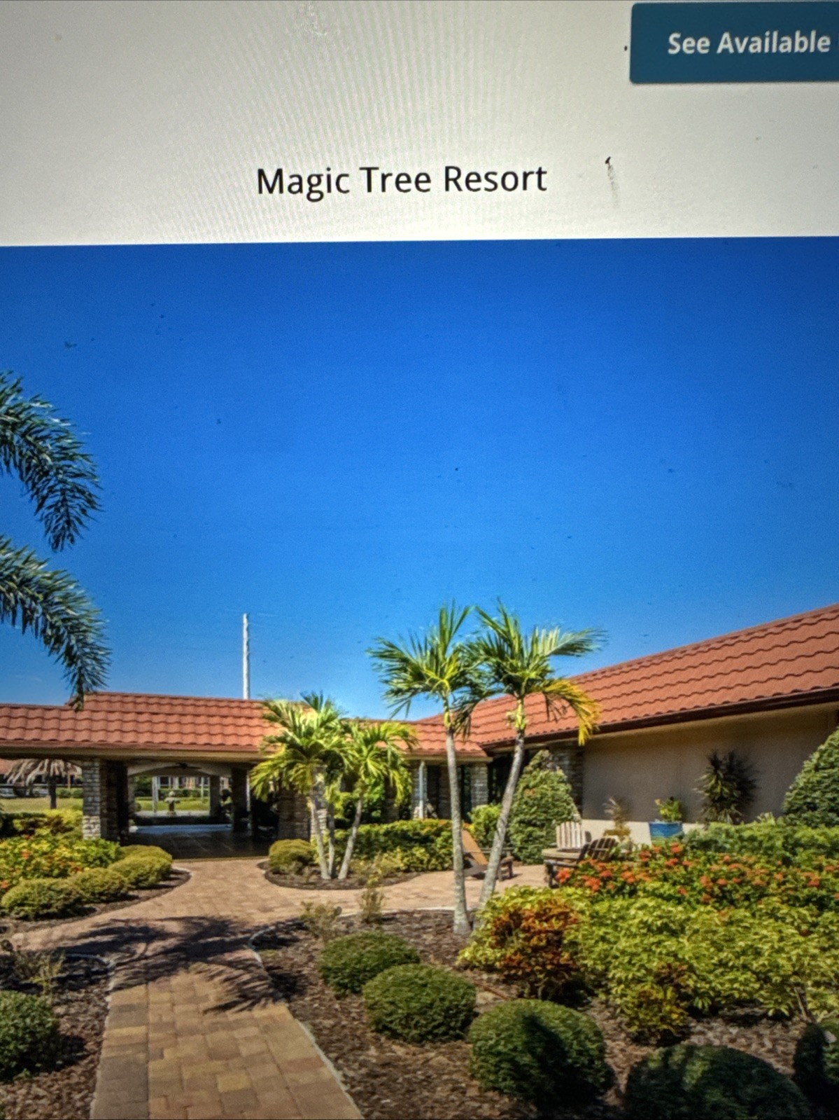Timeshare Rental