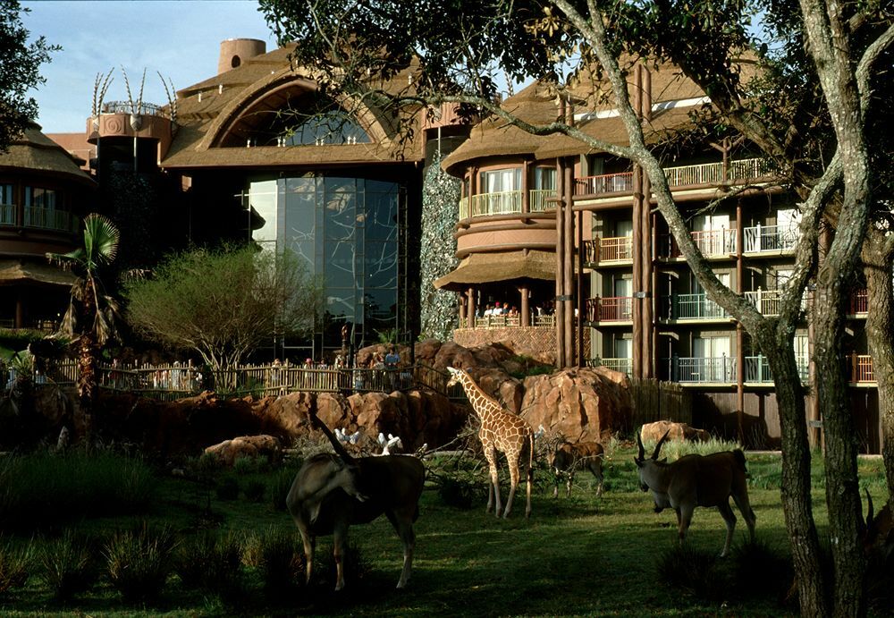 2024 Disney World Vacation Rental = Animal Kingdom – Savanna view 11/22 -11/26