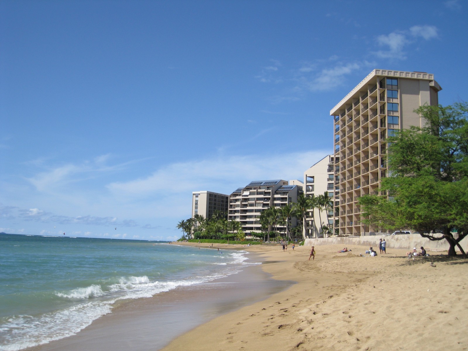 KAHANA BEACH RESORT Lahaina Maui Hawaii Ocean Front Studio Rental 1/8-1/15 2027