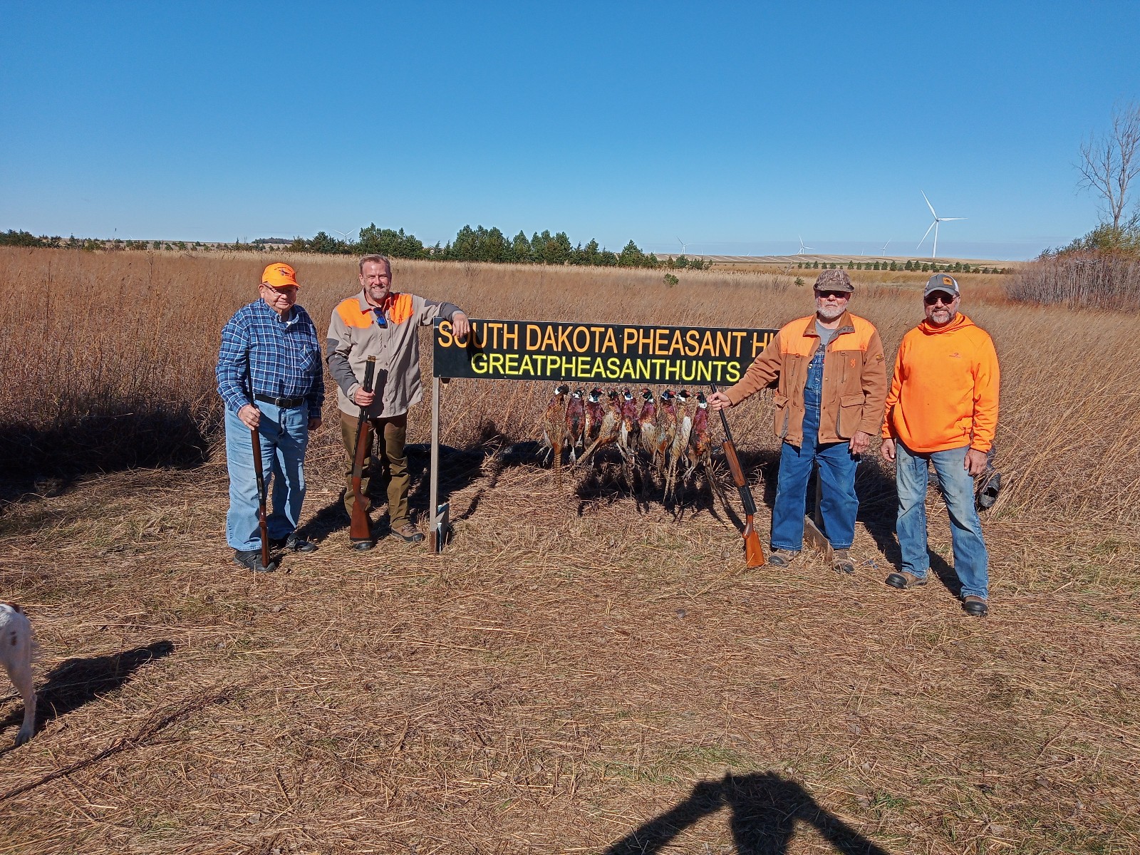 South Dakota Pheasant Hunt and Lodging