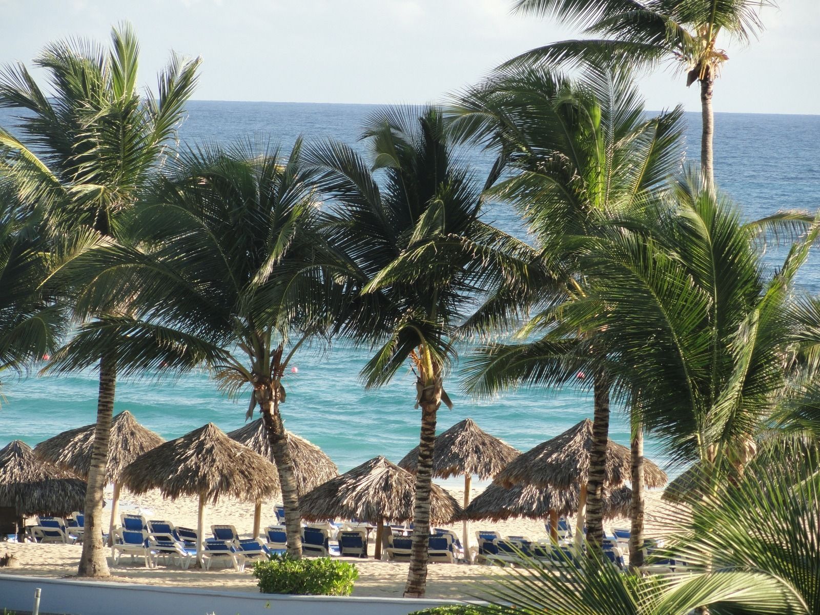 Hard Rock Hotel Casino Resort Punta Cana Dominican Republic ALL~INCLUSIVE