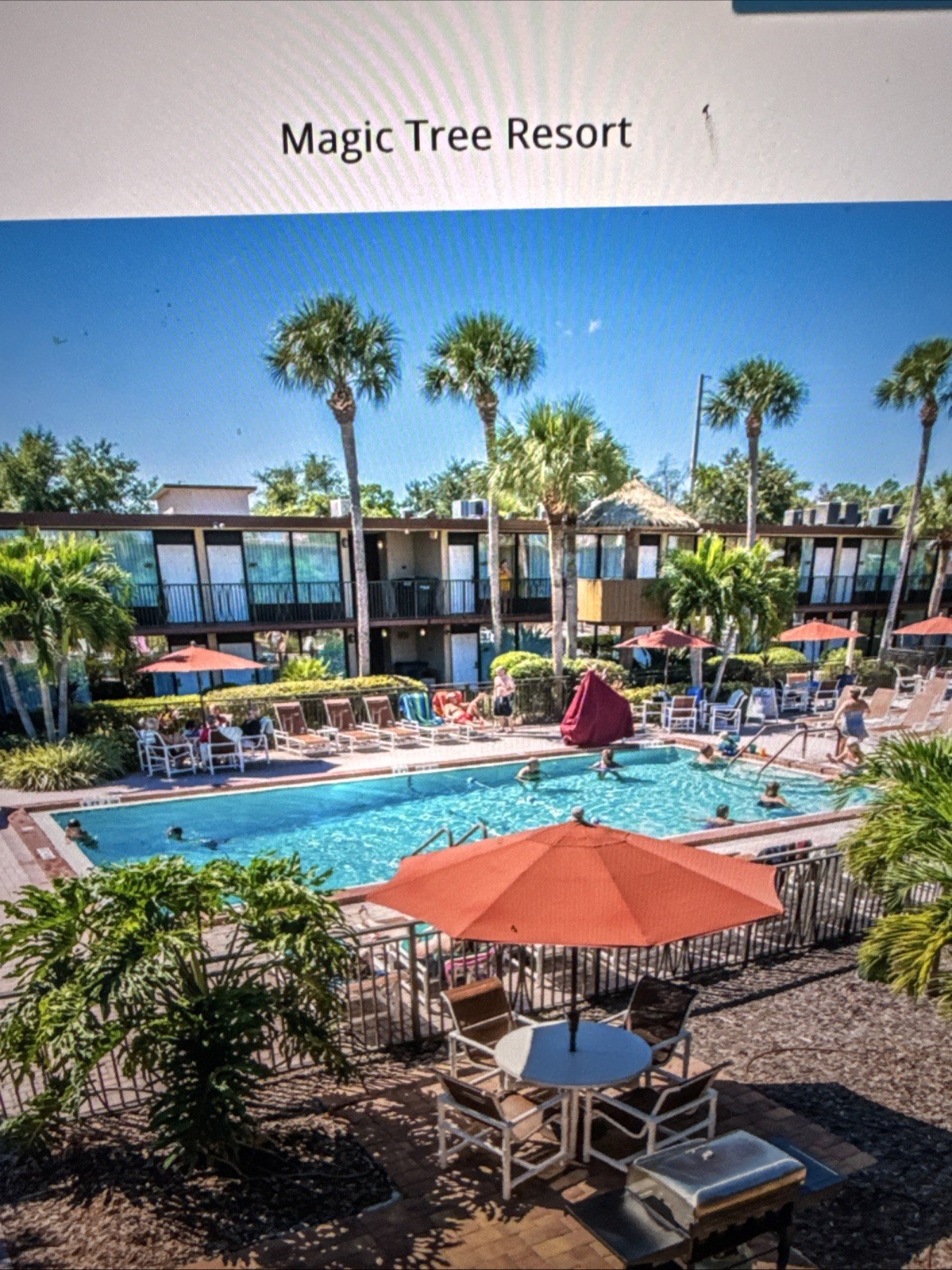 Timeshare Rental