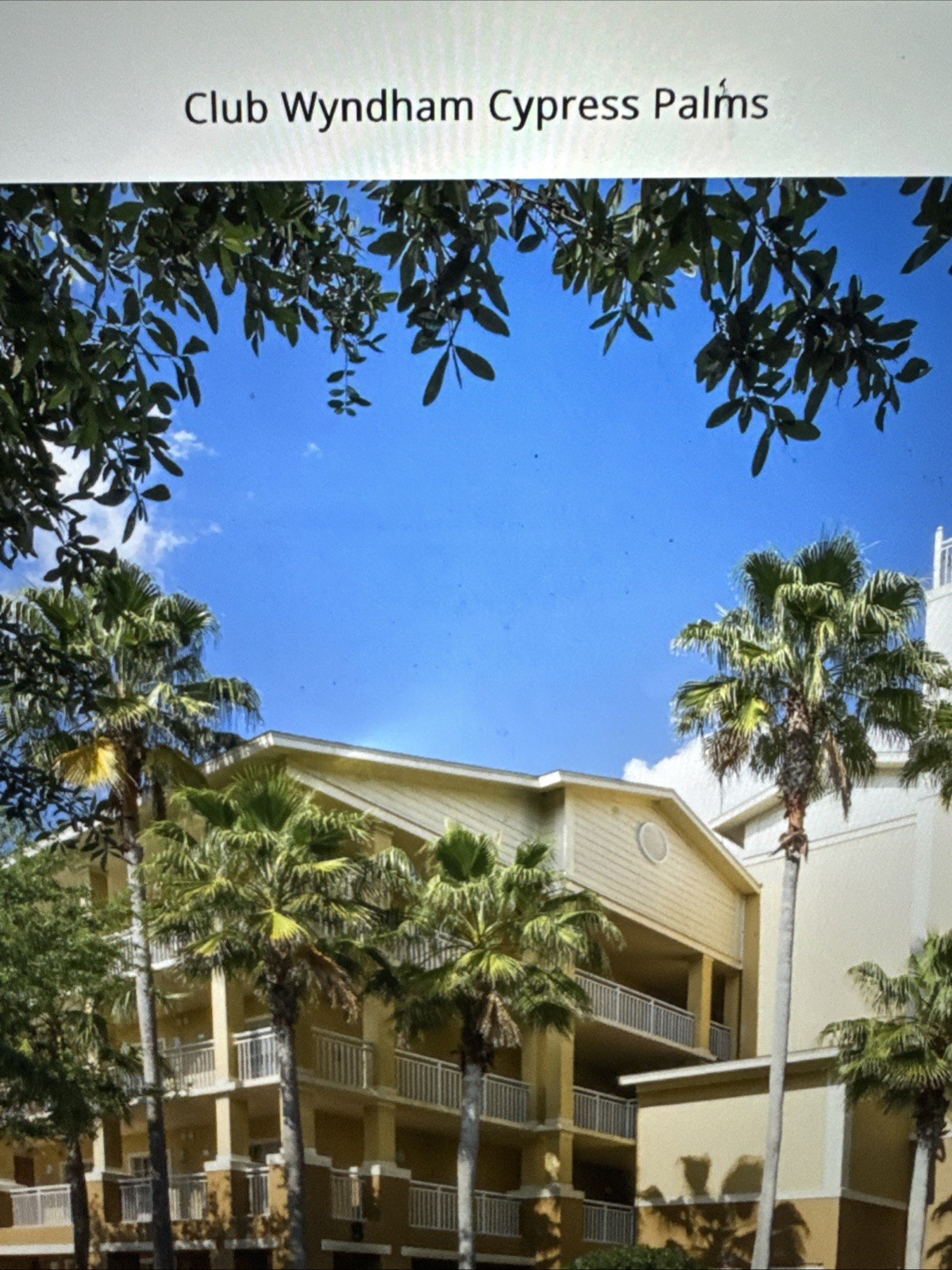 Timeshare Rental