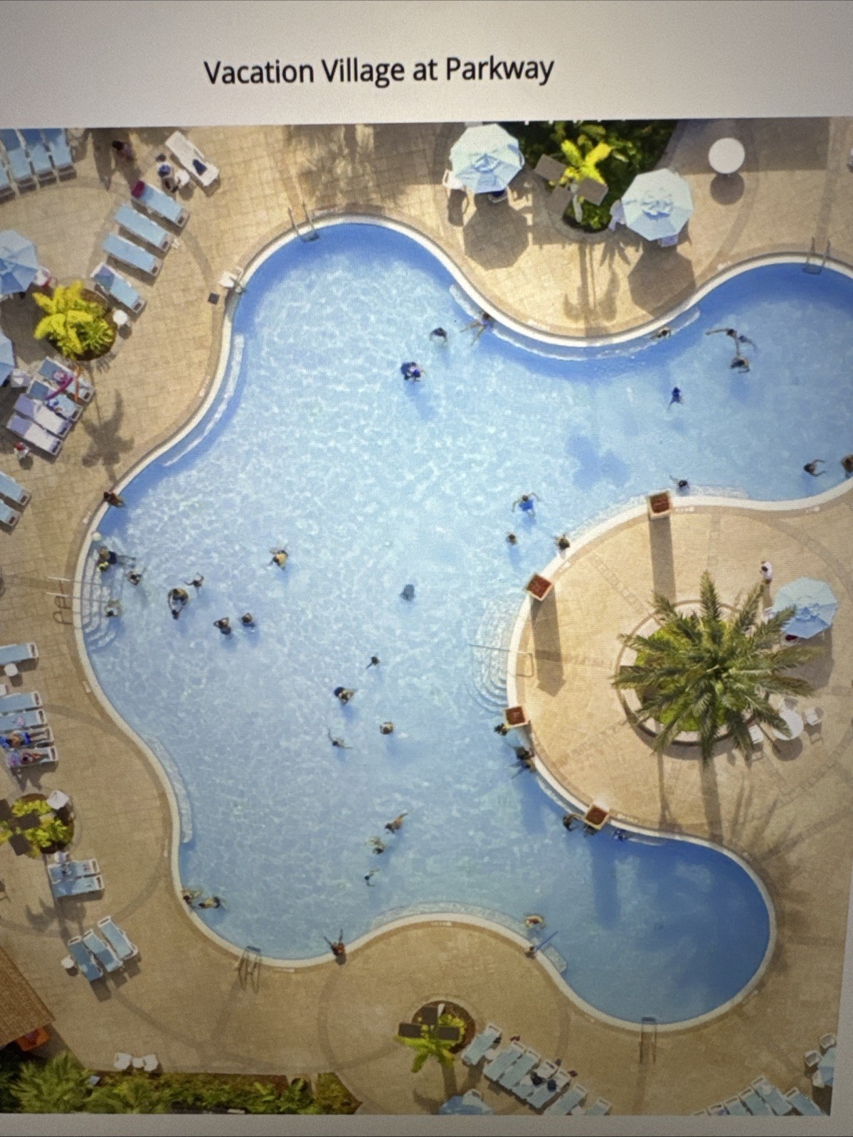One Week Rental Multiple Dates Available! Vacation Village Parkway Orlando, FL