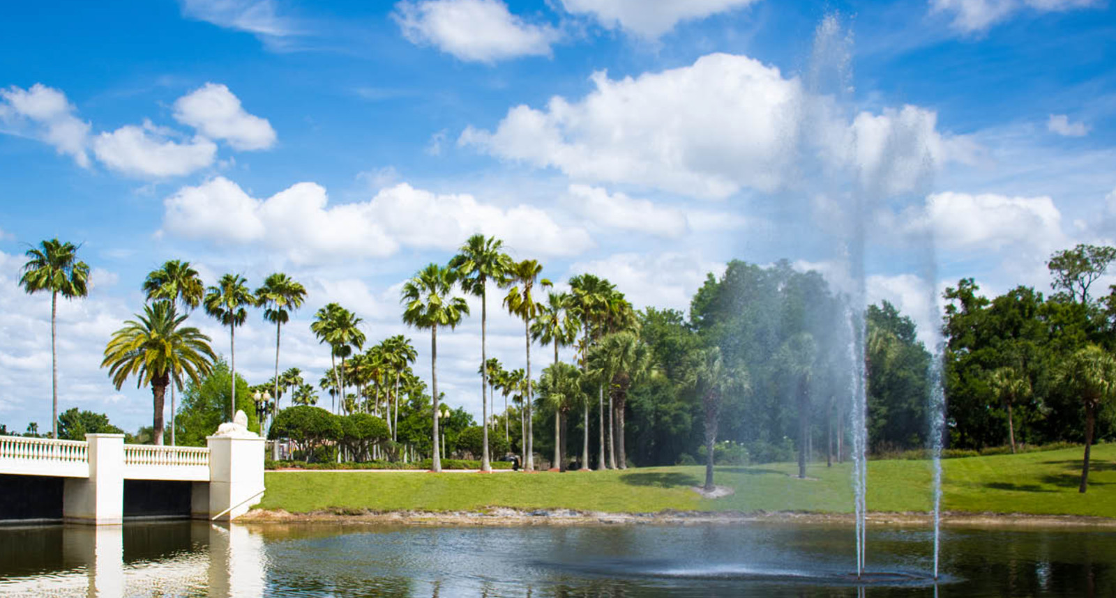Star Island Resort ~ Mini Suite Sleeps 4 ~ 7Nts SEP/OCT/NOV/DEC/JAN/FEB 2024/25