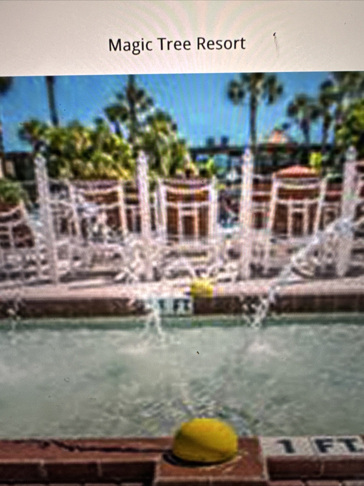 Timeshare Rental
