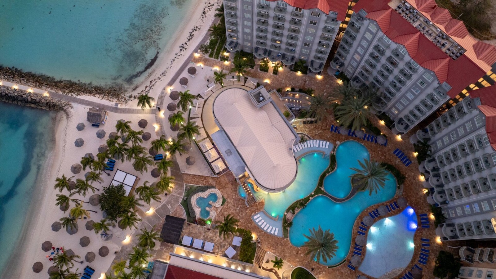 Divi Aruba Phoenix Beach Resort – Studio – 11/23 – 11/27 2026 – 4 nights