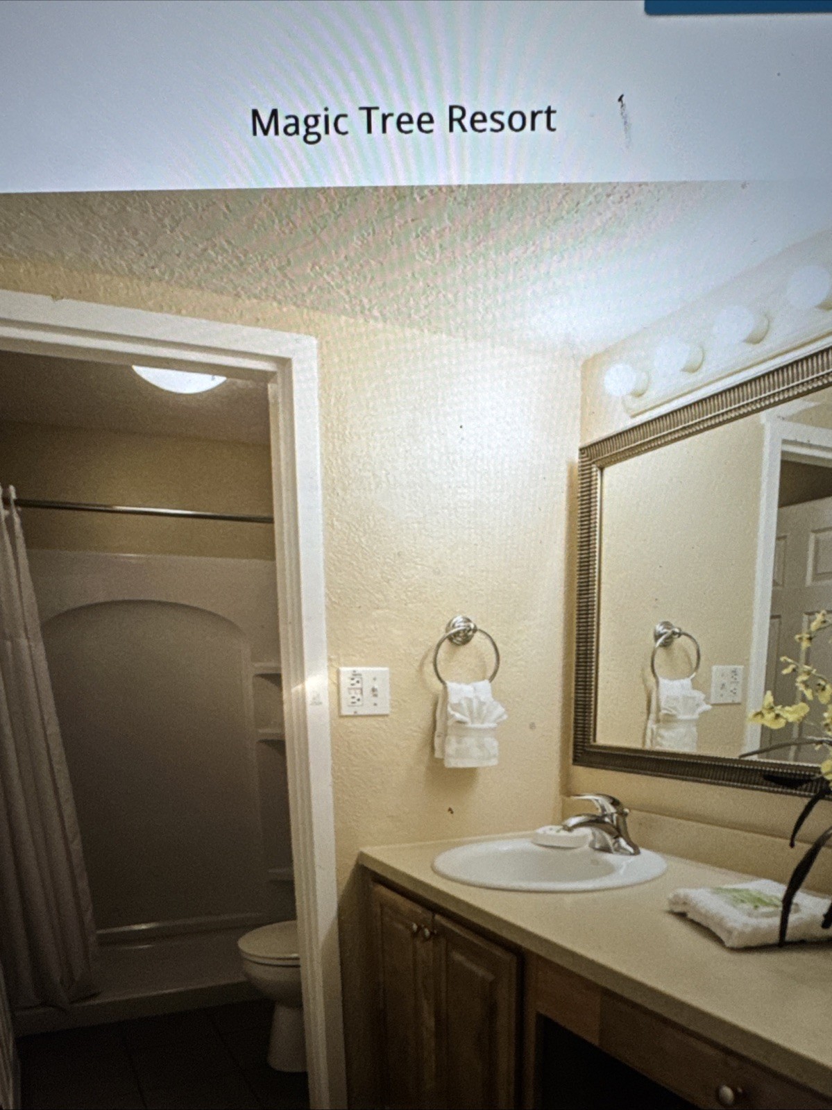 Timeshare Rental