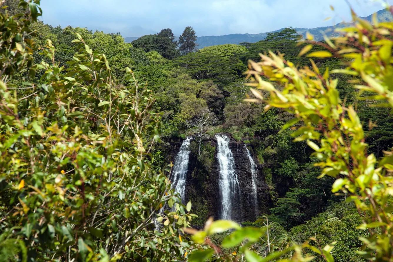 Marriott Westin Princeville Ocean Resort Villas 2 BR 7 Nights ANY YEAR Hotel