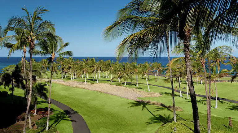 Hilton Grand Vacations Club Ocean Tower Waikoloa, Hawaii 1-BR Timeshare Rental