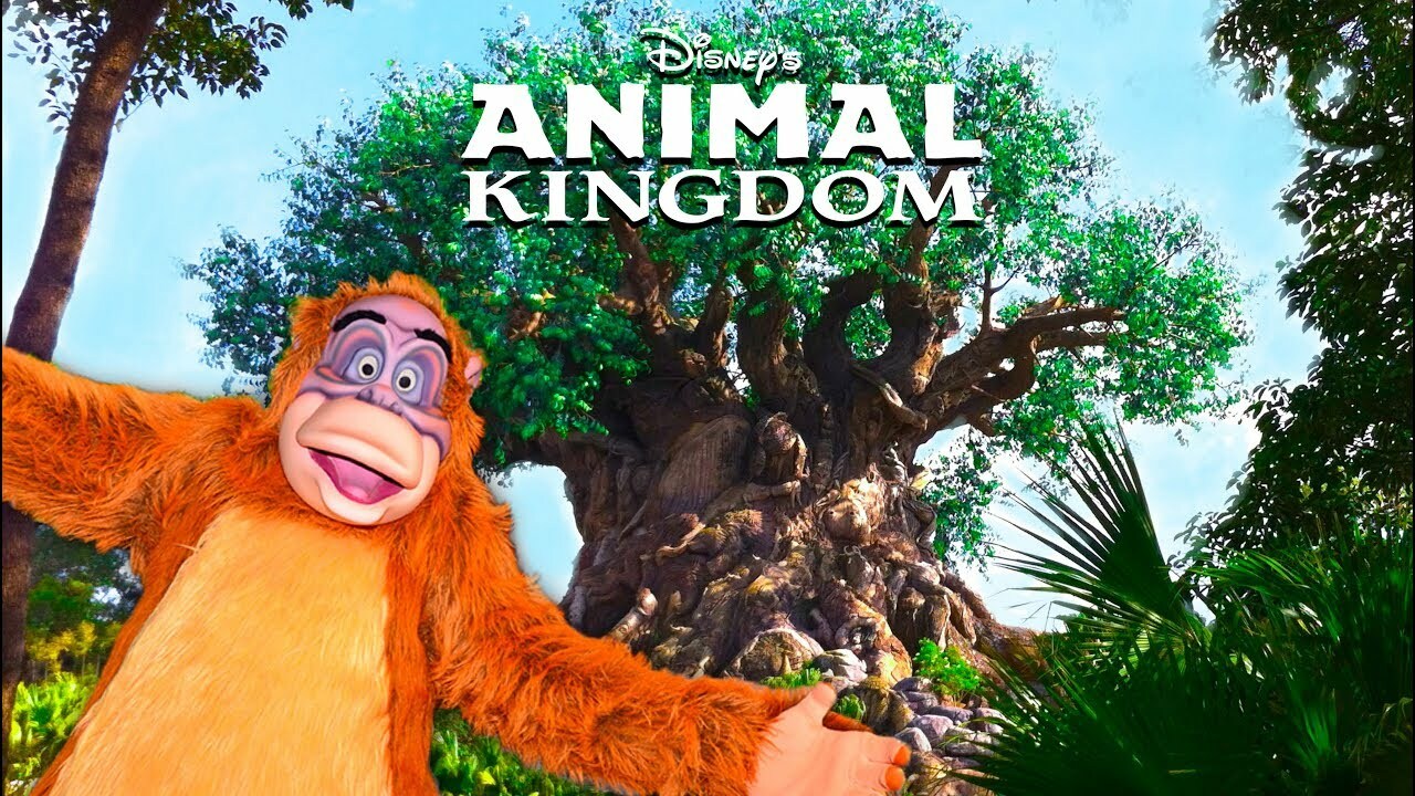 2024 Disney World Vacation Rental = Animal Kingdom – Savanna view 11/22 -11/26