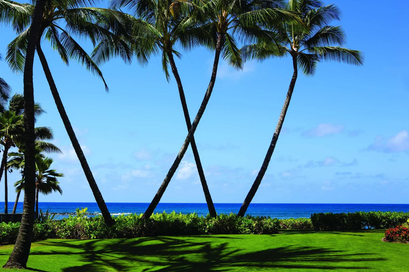 Marriott Waiohai Beach Club Kauai Hawaii Resort 2 BR 6 Nights ANY YEAR Hotel