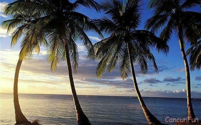 Vacation in Style at PALACE RESORTS all inclusive vacations.