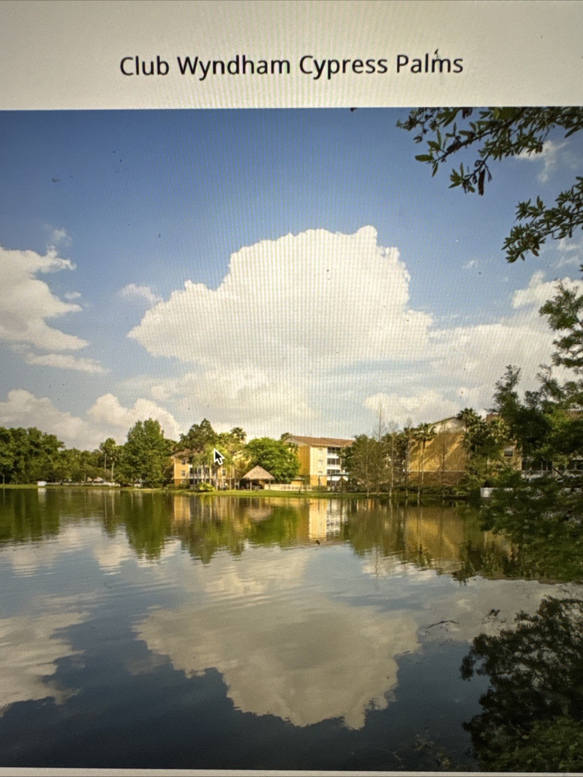 Timeshare Rental