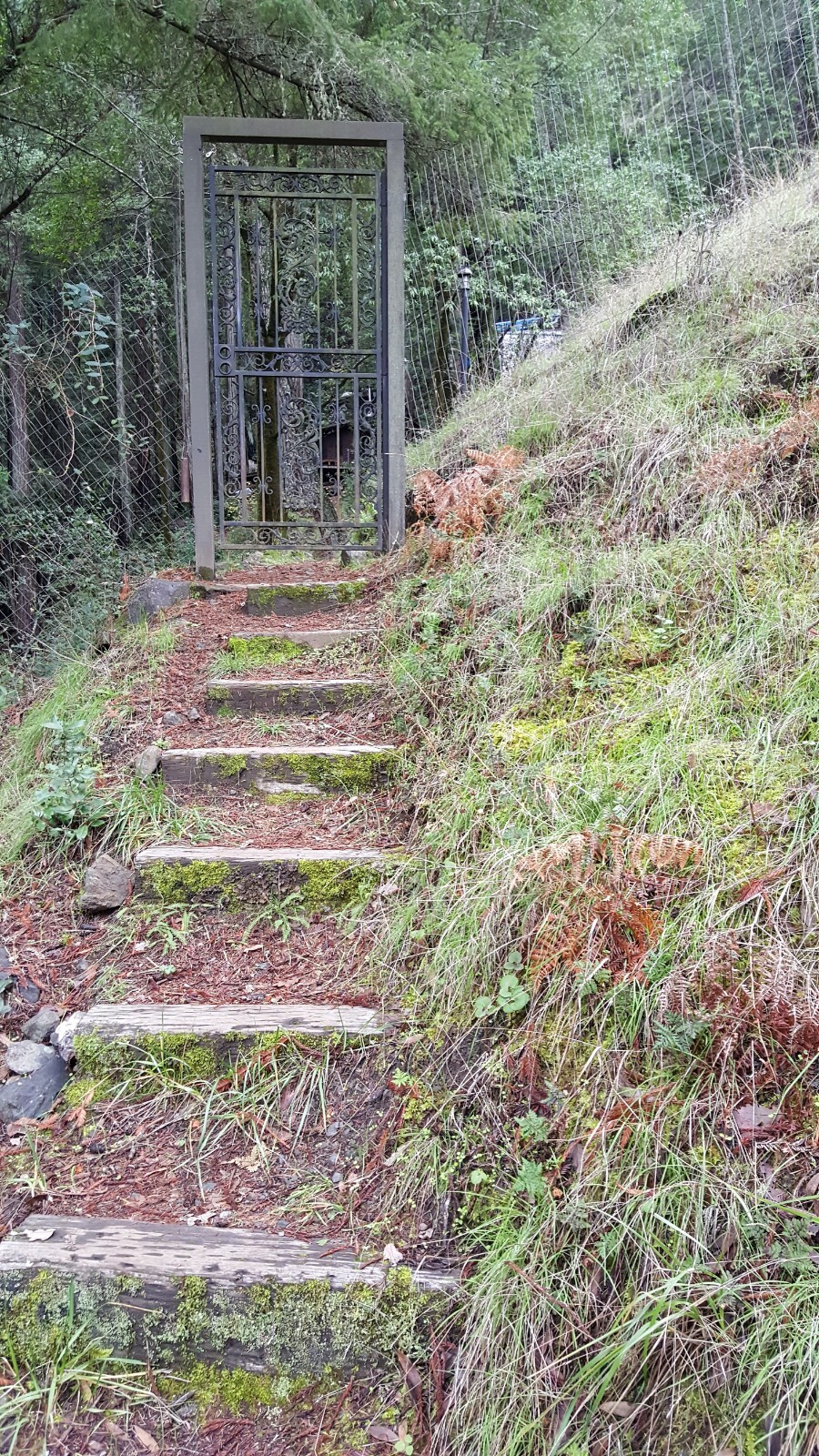 cabin rental in San Geronimo total privacy