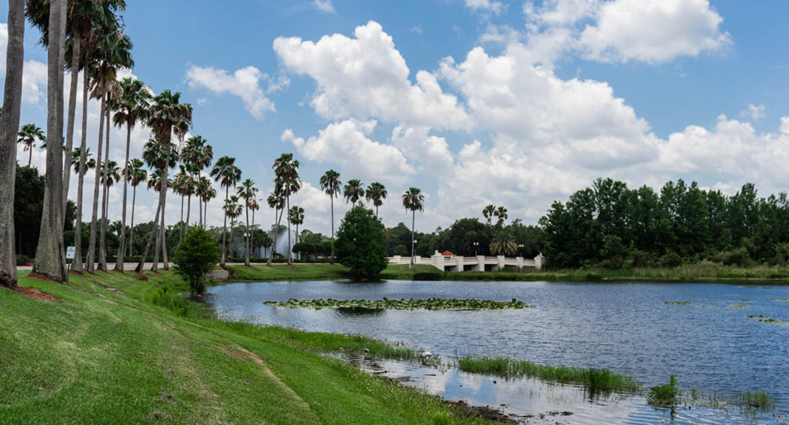 Star Island Resort ~ Mini Suite Sleeps 4 ~ 7Nts SEP/OCT/NOV/DEC/JAN/FEB 2024/25