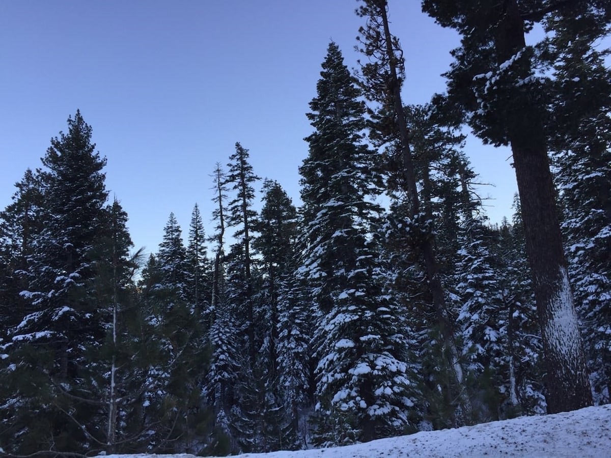 LAKETAHOE !Sleeps 6, living, dining,kitchen between Lake-slopes, near all!6/7-13