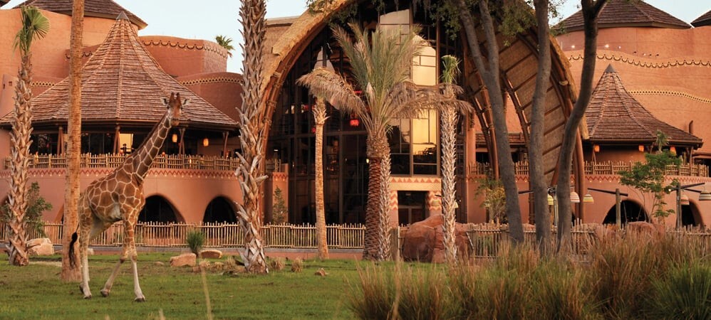 Disney Animal Kingdom Villas Jambo House Hotel ANY 6 Nights ANY YEAR 2 BR point