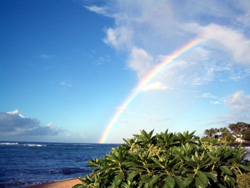 MAUI – KAHANA FALLS RESORT VACATION RENTAL** 1BD/1BA *SPECIAL RATE – $1750.00*