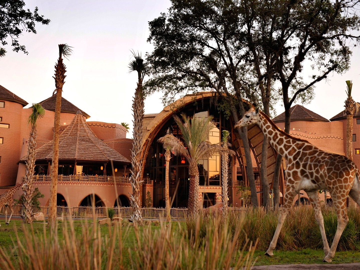 Disney’s Vacation Club DVC Resort Points Rental