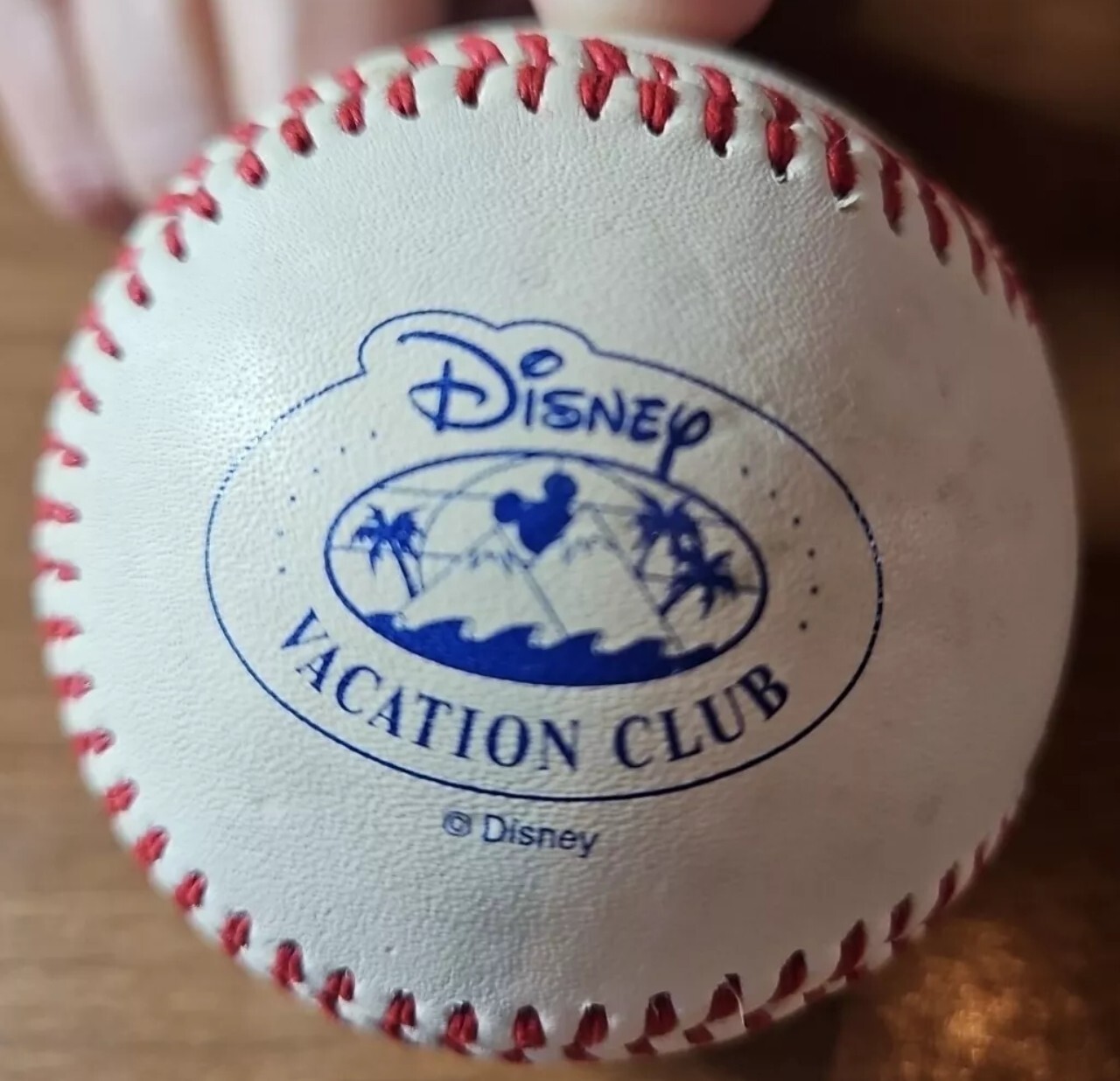 Disney Hotel Vacation Club Points Rental
