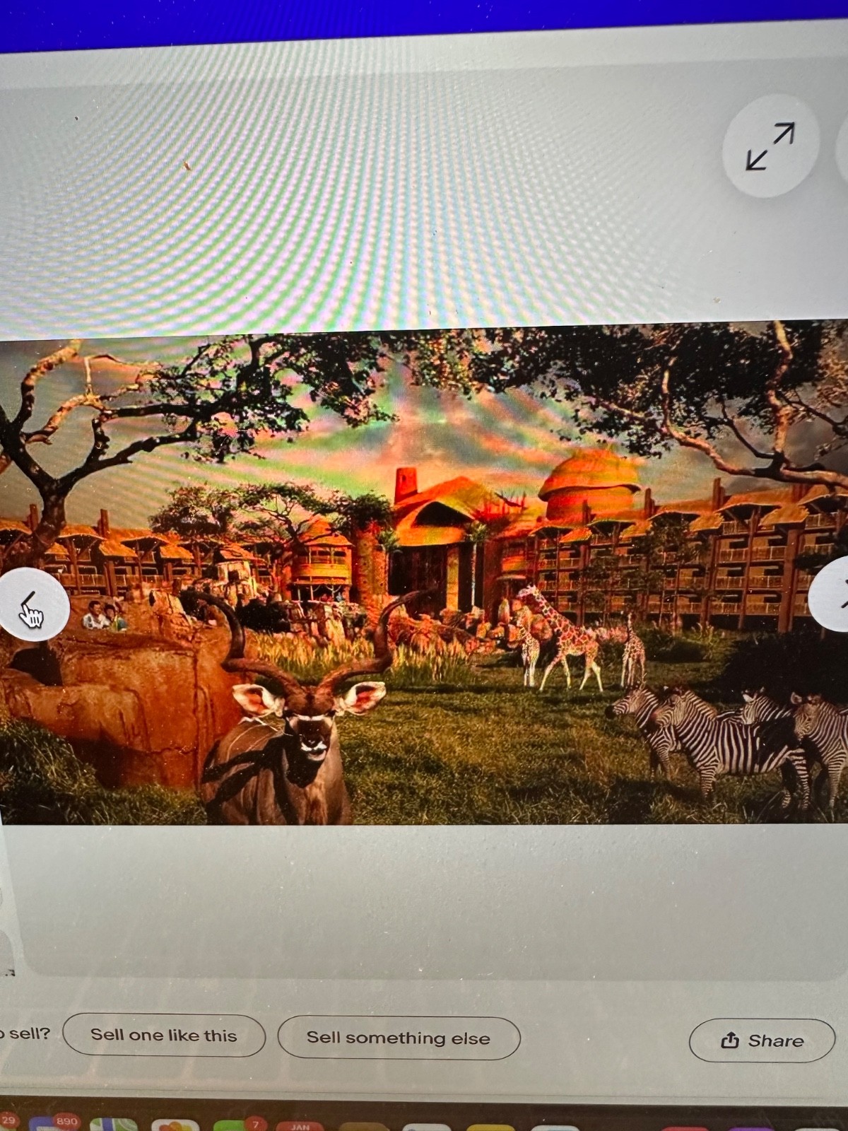 Disney DVC 2 BR Animal Kingdom Villa, Kidani Village, Savana View, 14-19 June