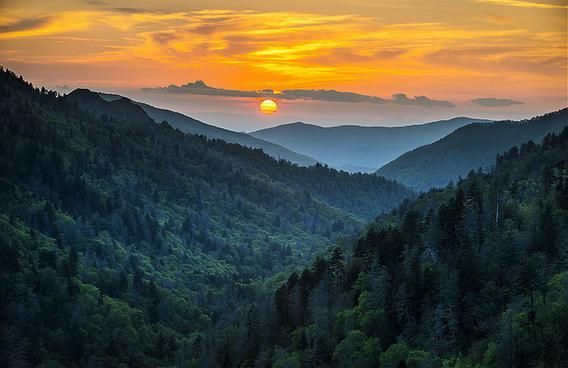 Sevierville, TN,Wyndham Smoky Mountains, 1 Bedroom Suite, 5-9 July 2026