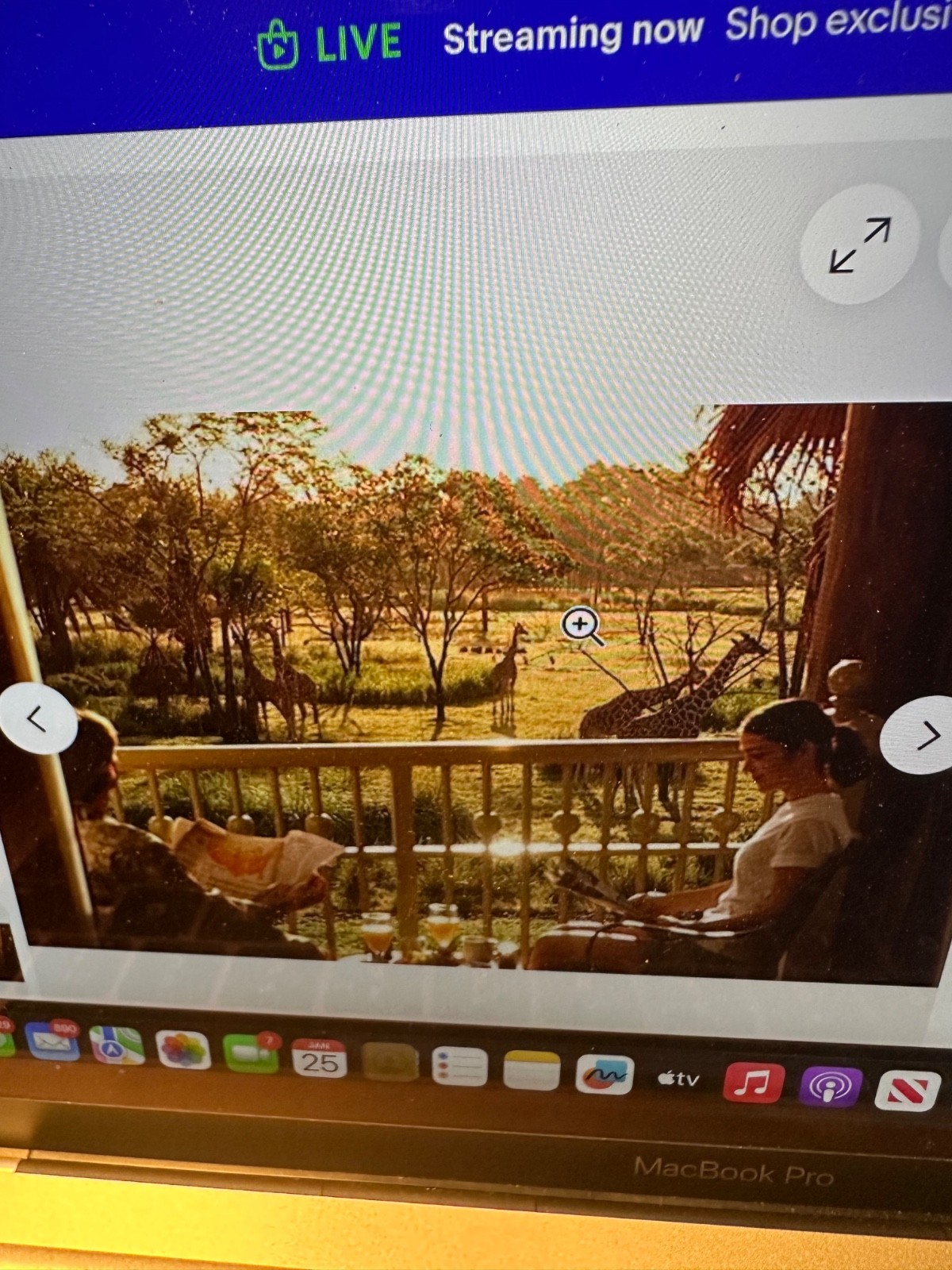 Disney DVC 2 BR Animal Kingdom Villa, Kidani Village, Savana View, 14-19 June