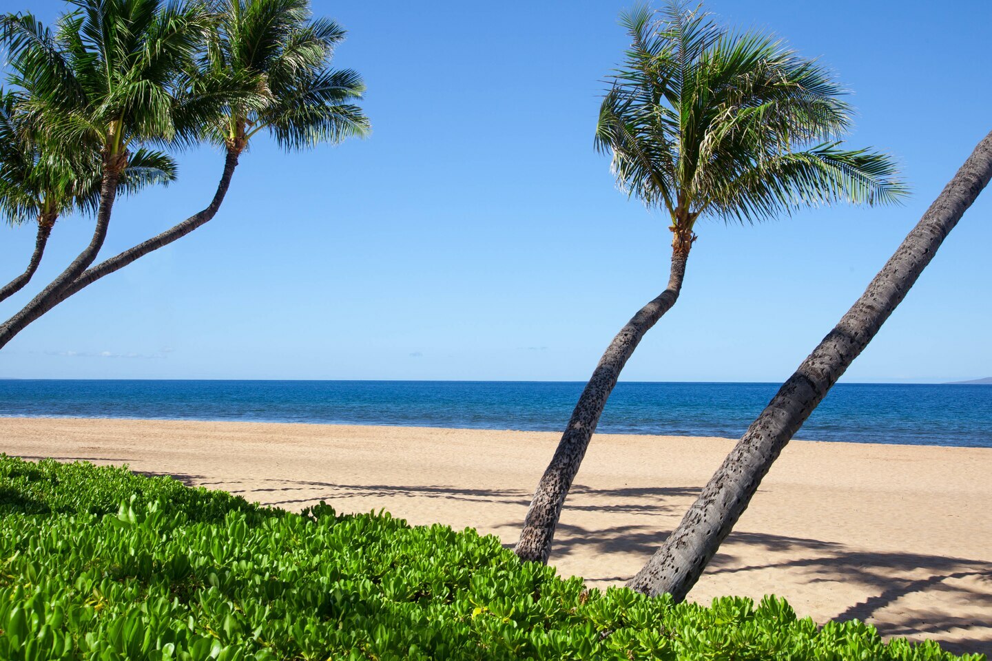 Marriott Maui Ocean Club