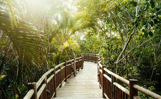 2-bed Grand Bliss Suites, 4/15-4/22, 2023, Riviera Maya, Mexico