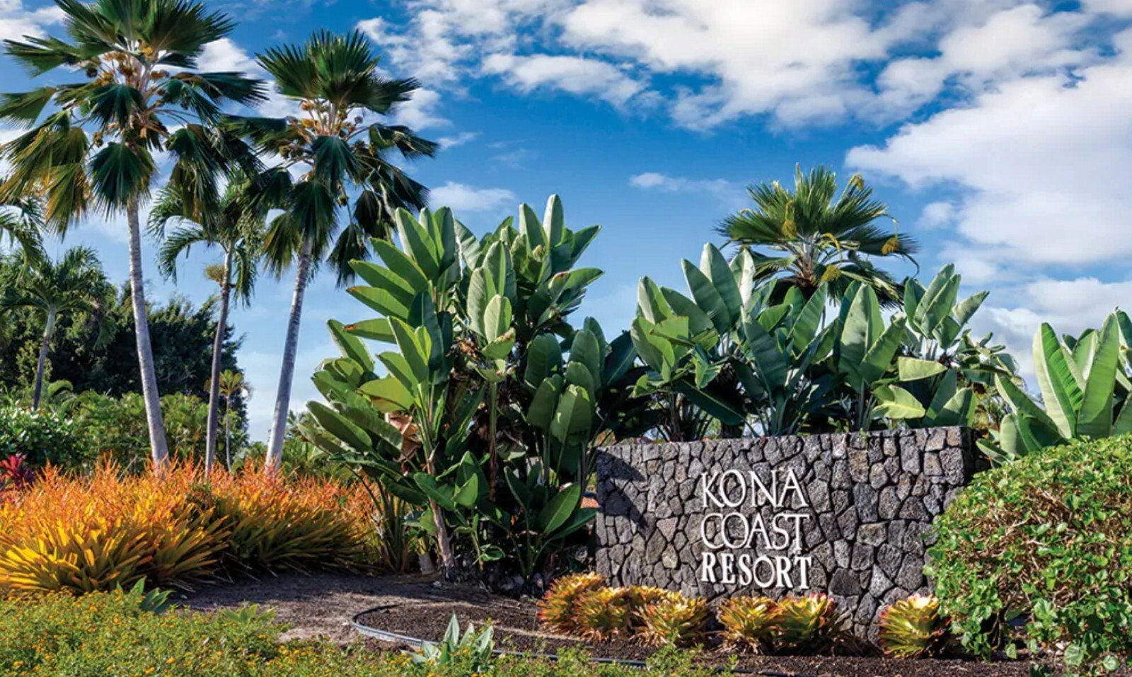 Club Wyndham Kona Coast Resort Kailua-Kona Hawaii Hotel Lodging 5 Night 2023 1BR