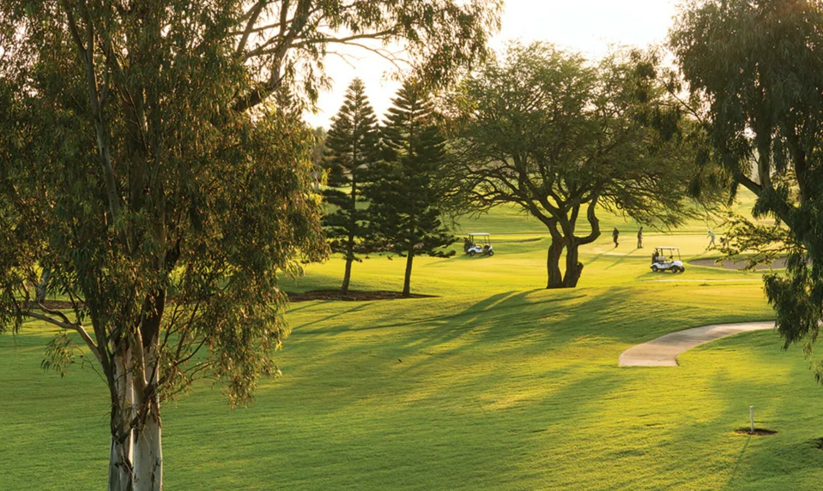 Club Wyndham Paniolo Greens Waikoloa Resort Hawaii Lodge Hotel 6 Night 2023 2BR