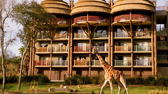 Disney’s Animal Kingdom Villas Jambo House Hotel ANY 5 Nights ANY YEAR STUDIO