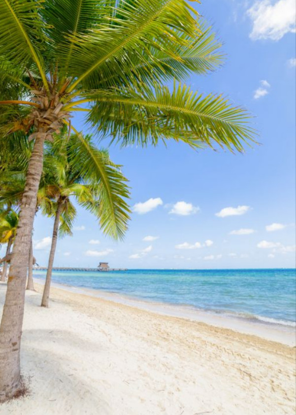 Villa del Palmar CANCUN! $1599.00 5 Nights, Sleeps 4, 1-bed suite