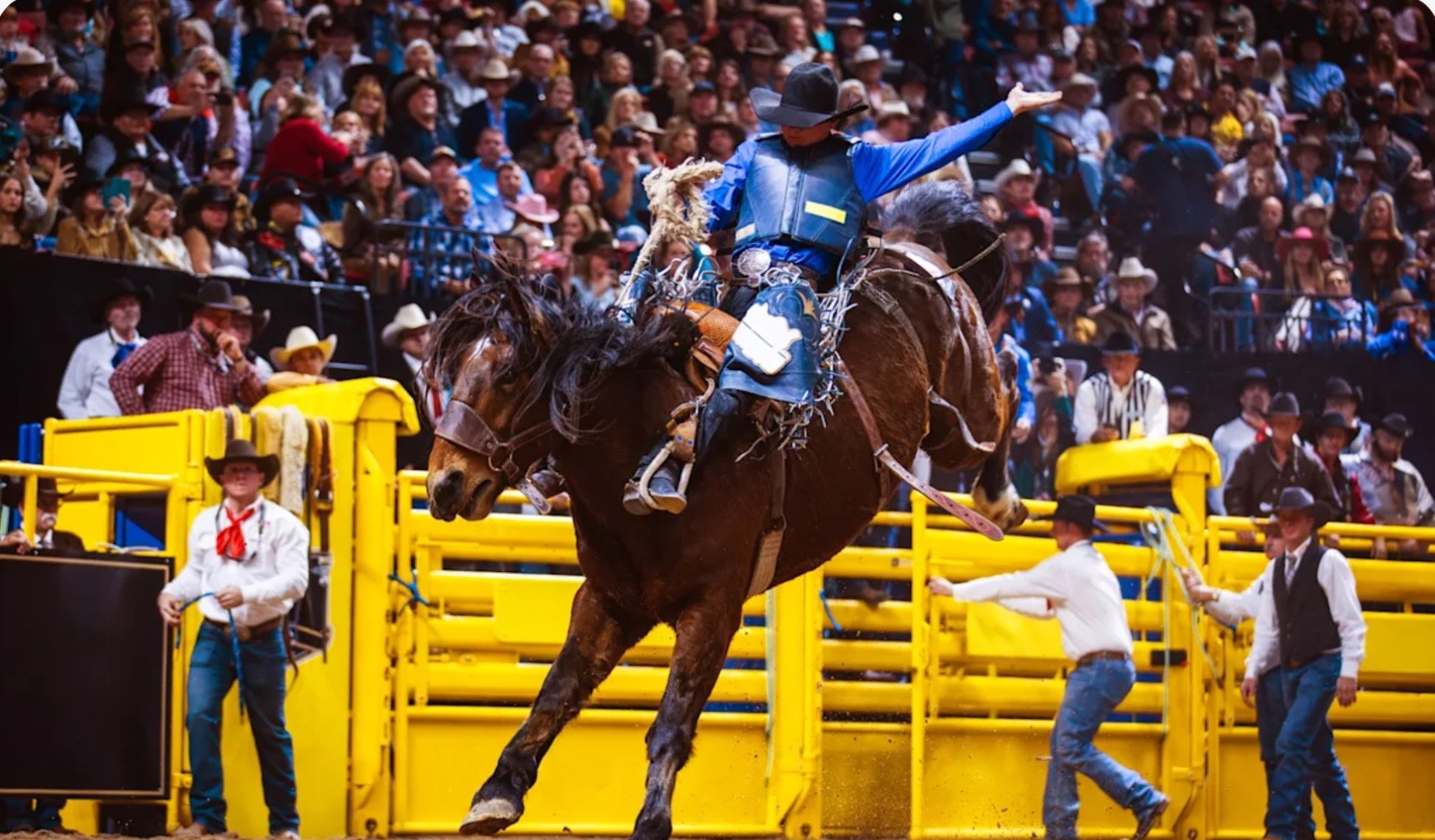 NATIONAL RODEO FINALS—LAS VEGAS final weekend 3 nights $795.00