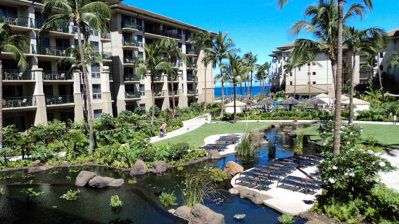 Westin Kaanapali Hawaii – Studio, 1BR or 2BR – choose your 2026 date