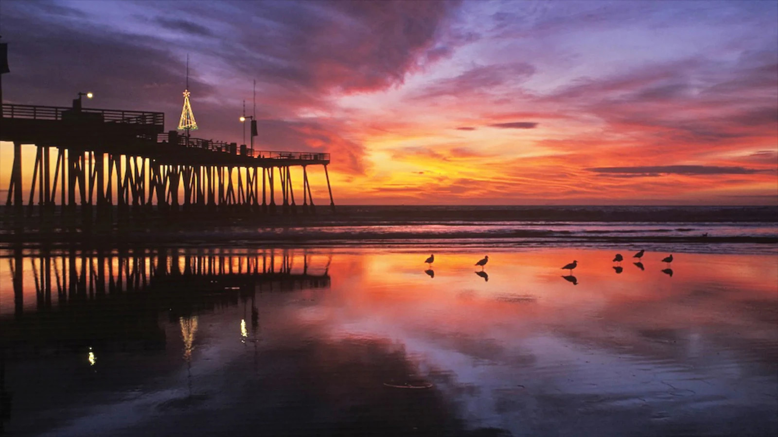 Four Days, Three Nights in Pismo Beach, CA (Wyndham Resort) November 11-14, 2025