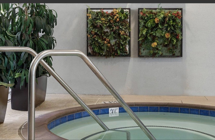 Wyndham Peacock Suites ~ Anaheim, CA ~ 1BR/Sleeps 4. July 22-26, 2026 4nights
