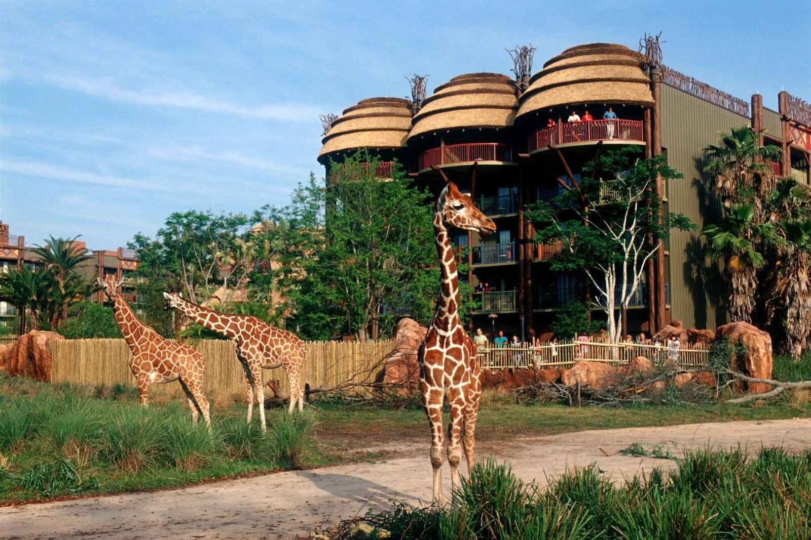 Disney’s Animal Kingdom Villas – Jambo House