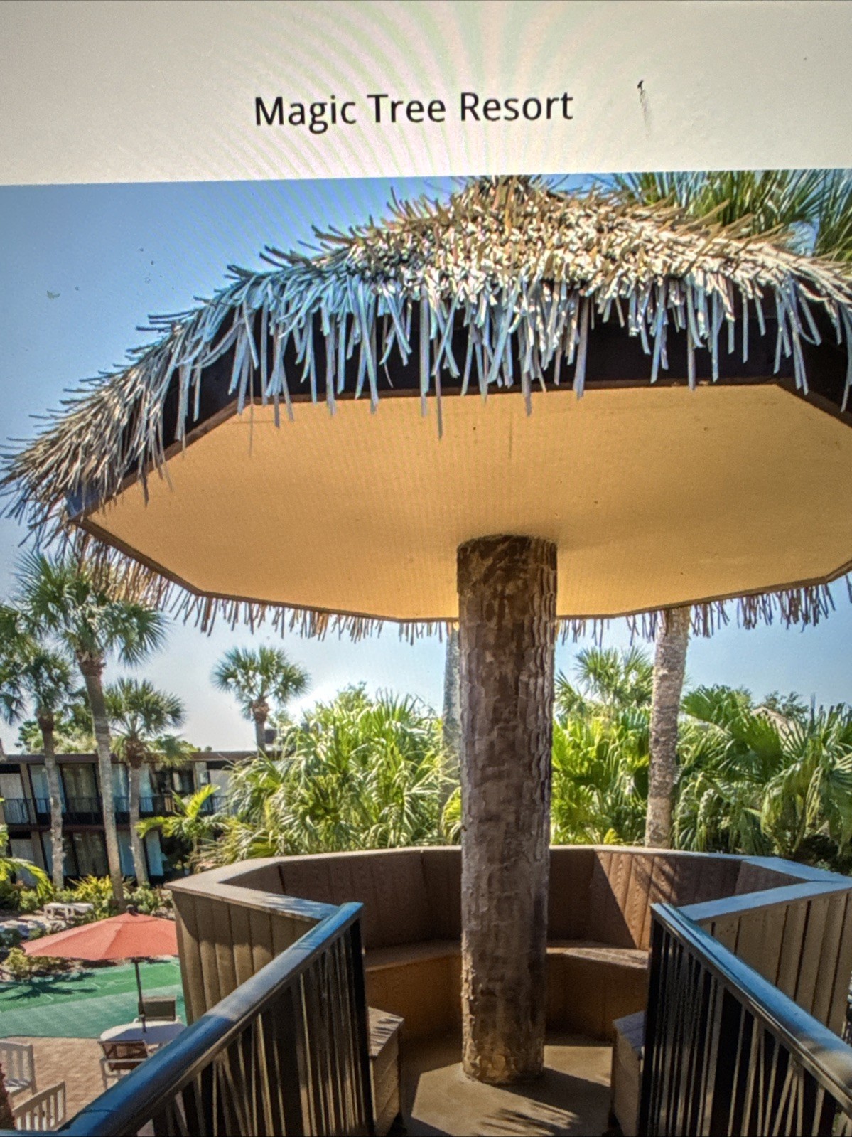 Timeshare Rental