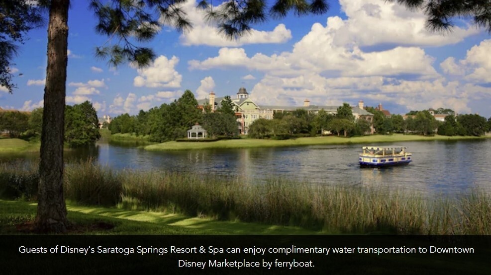 Disney Saratoga Springs Resort DisneyWorld ANY 7 Nights ANY YEAR 3 BR TREEHOUSE