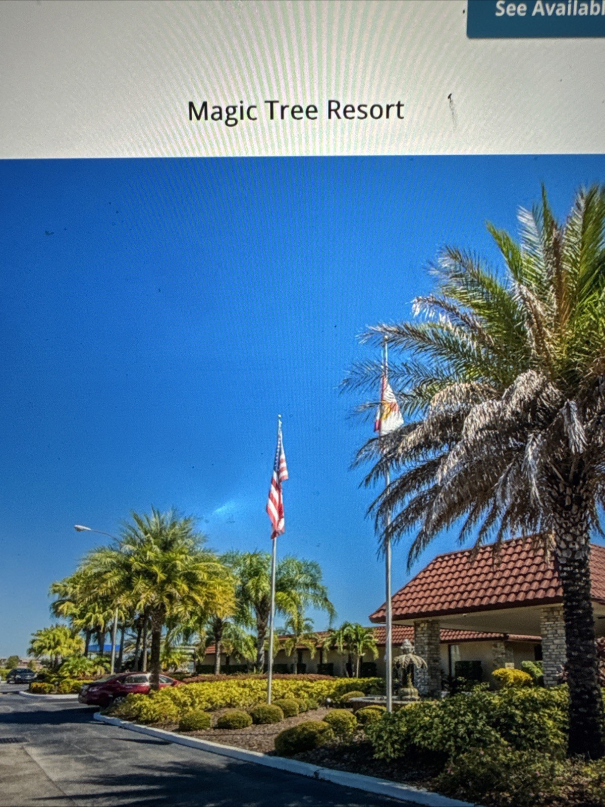 Timeshare Rental